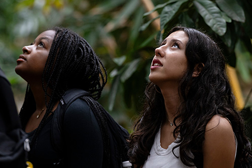First-year students enrolled in Grand Challenge First-Year Seminar: Equity and the Environment: Exploring Global Challenges and Local Solutions visit Phipps Conservatory to explore concepts they are learning in class.