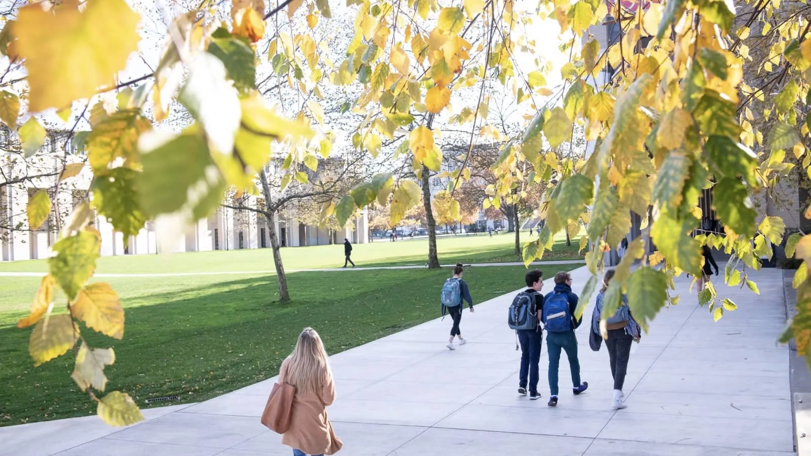 CMU students walk on along a pathway on a sunny day near vast green space and trees between academic buildings on campus.